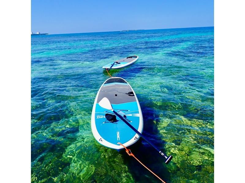 【今帰仁村、古宇利島、美ら海水族館、ジャングリア周辺開催】１組貸切り♪ SUP &シュノーケリング♪ 思い出の写真は無料プレゼント♪の紹介画像