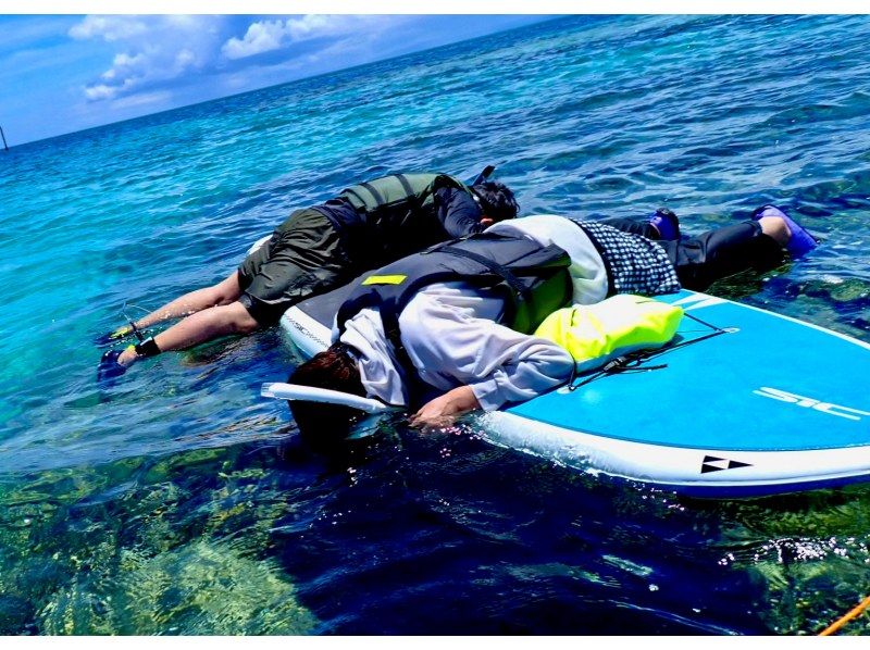 【今帰仁村、古宇利島、美ら海水族館、ジャングリア周辺開催】 完全貸切 SUP & シュノーケリング｜思い出の写真データ無料プレゼントの紹介画像