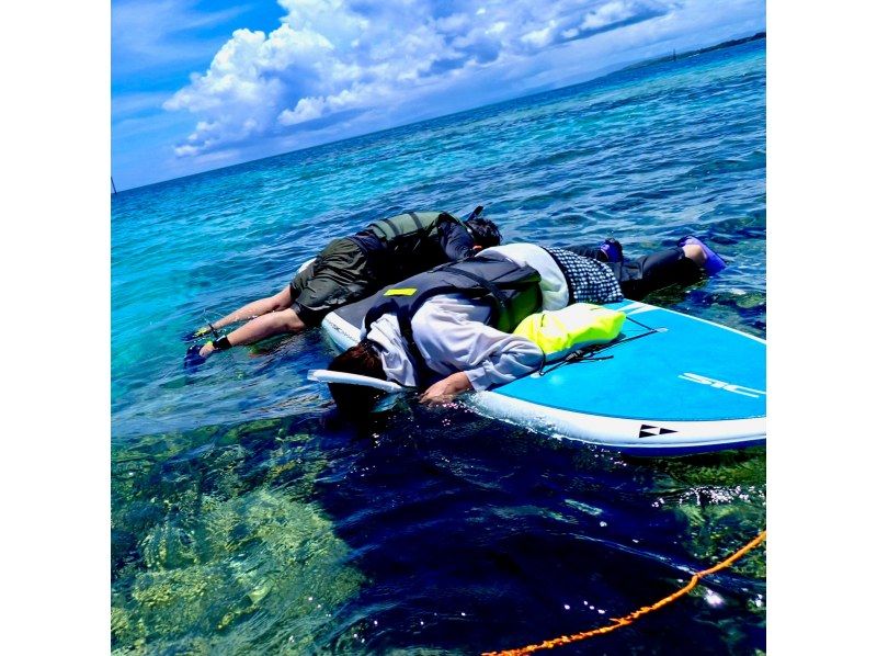 【今帰仁村、古宇利島、美ら海水族館、ジャングリア周辺開催】１組貸切り♪ SUP &シュノーケリング♪ 思い出の写真は無料プレゼント♪の紹介画像