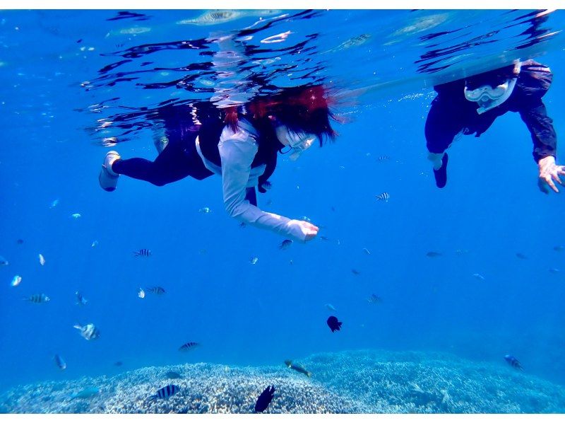 【今帰仁村、古宇利島、美ら海水族館、ジャングリア周辺開催】 完全貸切 SUP & シュノーケリング｜思い出の写真データ無料プレゼントの紹介画像