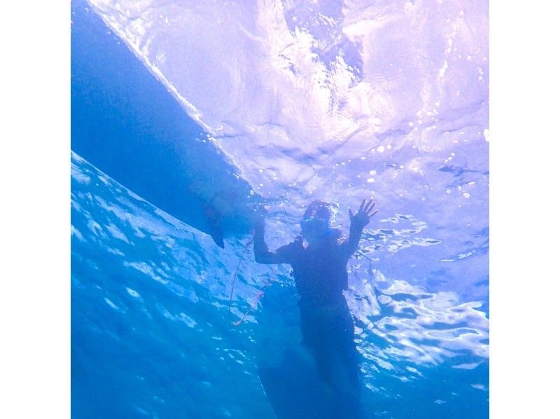 【今帰仁村、古宇利島、美ら海水族館、ジャングリア周辺開催】１組貸切り - SUP &シュノーケリング - 思い出の写真無料プレゼント