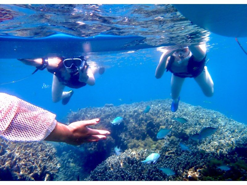 【今帰仁村、古宇利島、美ら海水族館、ジャングリア周辺開催】 完全貸切 SUP & シュノーケリング｜思い出の写真データ無料プレゼントの紹介画像
