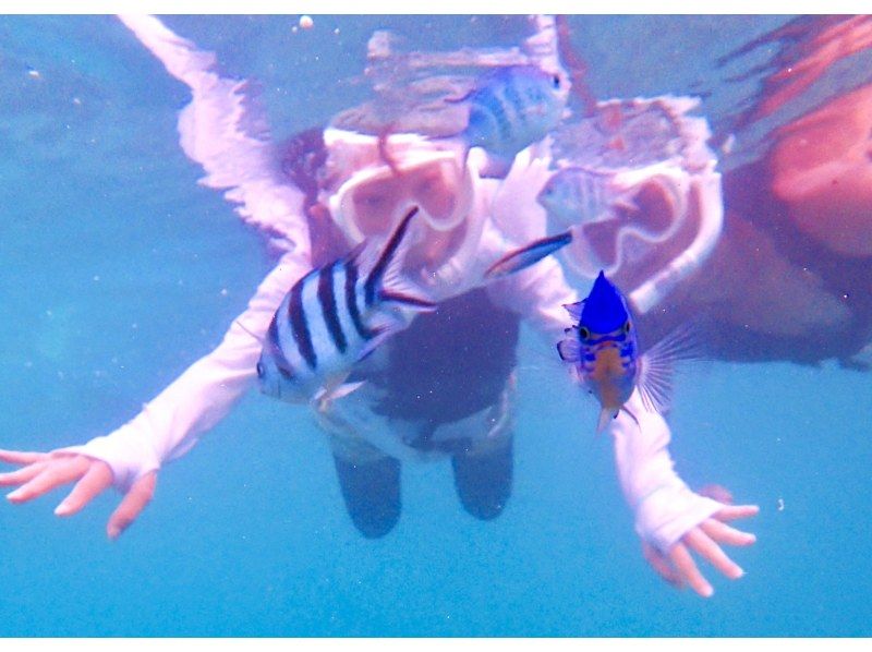 【今帰仁村、古宇利島、美ら海水族館、ジャングリア周辺開催】 完全貸切 SUP & シュノーケリング｜思い出の写真データ無料プレゼントの紹介画像