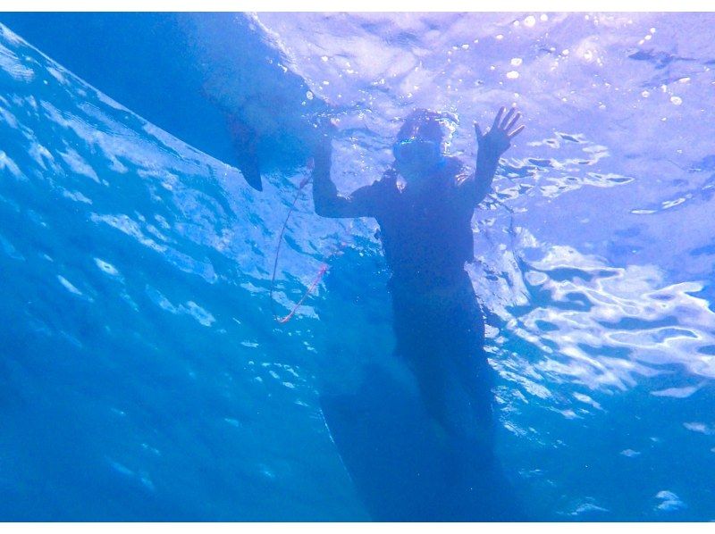 【今帰仁村、古宇利島、美ら海水族館、ジャングリア周辺開催】 完全貸切 SUP & シュノーケリング｜思い出の写真データ無料プレゼントの紹介画像