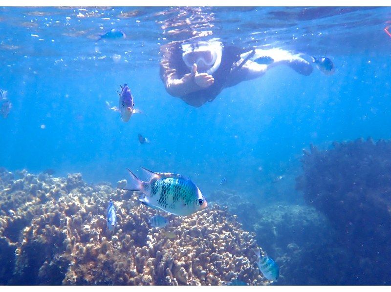 【今帰仁村、古宇利島、美ら海水族館、ジャングリア周辺開催】 完全貸切 SUP & シュノーケリング｜思い出の写真データ無料プレゼントの紹介画像
