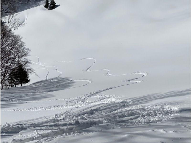 [Yuzawa/Kagura] Splitboard debut! Splitboard backcountry tour at Kagura-ga-mineの紹介画像