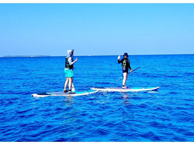 【今帰仁村・古宇利島・美ら海水族館・名護市周辺】沖縄の海を満喫！完全貸切ちょこっとSUP体験｜初心者OK・写真映え・沖縄旅行・絶景体験の紹介画像