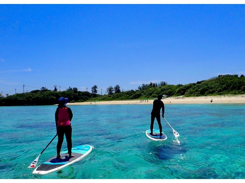 【今帰仁村・古宇利島・美ら海水族館、名護市周辺開催】オフシーズンの海を独り占め♪ 完全貸切ちょこっとSUP体験♪ （ウェット無料レンタル♪）の紹介画像
