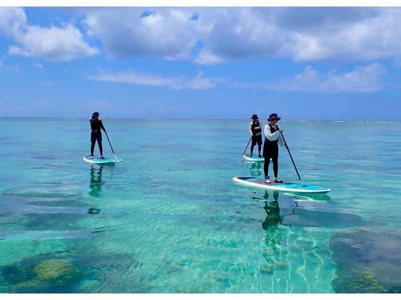 【今帰仁村・古宇利島・美ら海水族館、名護市周辺開催】オフシーズンの海を独り占め♪ 完全貸切ちょこっとSUP体験♪ （ウェット無料レンタル♪）の紹介画像
