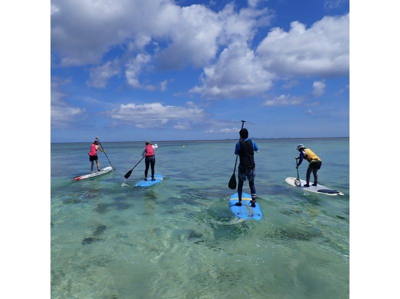 【今帰仁村、古宇利島、美ら海水族館、ジャングリア周辺開催】うちなんちゅ（沖縄在住者）限定SUP体験♪ 思い出の写真は無料プレゼント♪の紹介画像