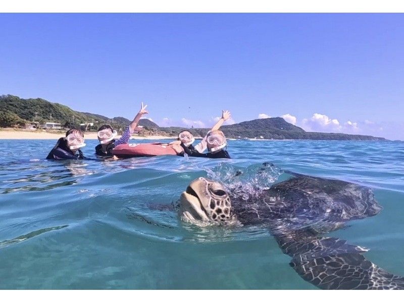 【奄美大島北部】小さなお子様も大歓迎！遭遇率100％!?ウミガメシュノーケリング（写真、動画撮影無料）の紹介画像