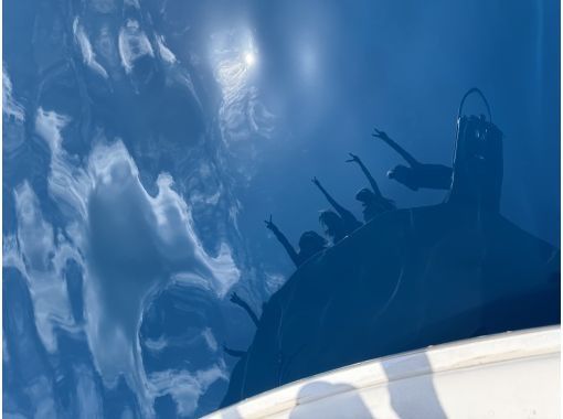 【奄美大島名瀬港発】2時間~OK!クルーザーチャーター★ペット可 【奄美大島名瀬港発】2時間~OK!クルーザーチャーター★ペット可