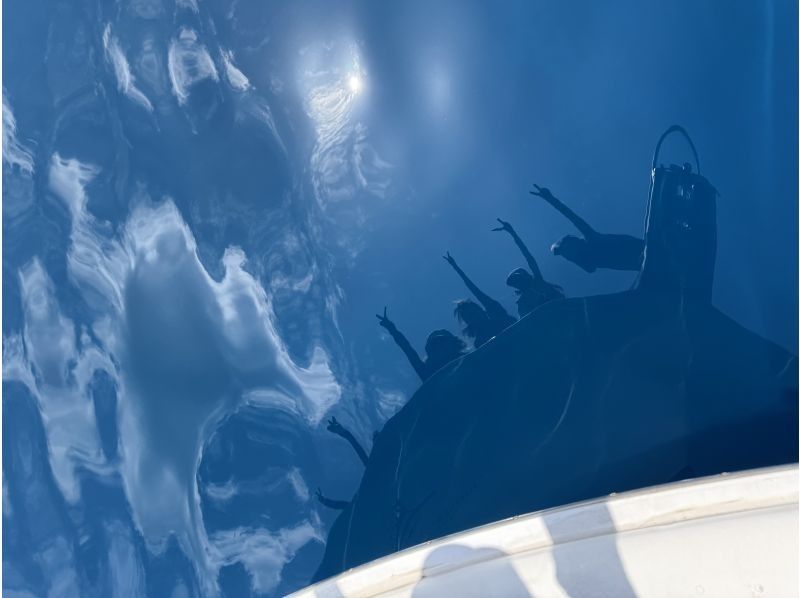 [Departing from Naze Port on Amami Oshima] Cruiser charter available from 2 hours! Pets allowedの紹介画像