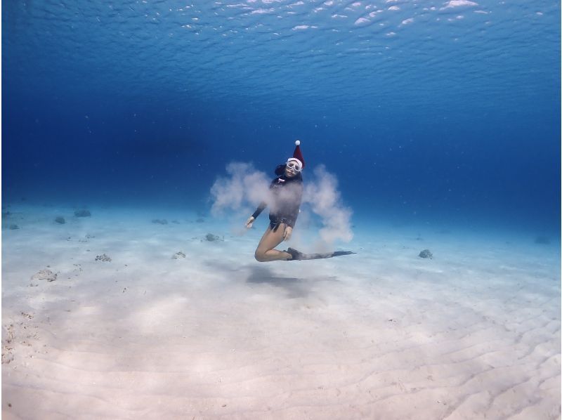[Departing from Naze Port on Amami Oshima] Cruiser charter available from 2 hours! Pets allowedの紹介画像