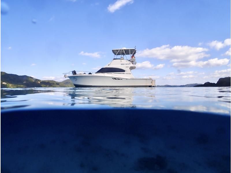 [Departing from Naze Port on Amami Oshima] Cruiser charter available from 2 hours! Pets allowedの紹介画像