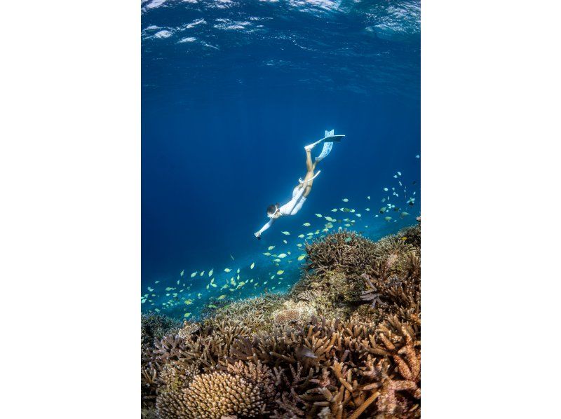 [โอกินาวา, ​​มิยาโกจิมะ] สัมผัสประสบการณ์ดำน้ำตื้นแบบแท้จริงที่หาดยาเอบิจิ! กลุ่มเล็ก วิดีโอฟรี มีตัวเลือกกล้องระดับมืออาชีพの紹介画像