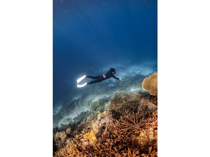 [โอกินาวา, ​​มิยาโกจิมะ] สัมผัสประสบการณ์ดำน้ำตื้นแบบแท้จริงที่หาดยาเอบิจิ! กลุ่มเล็ก วิดีโอฟรี มีตัวเลือกกล้องระดับมืออาชีพの紹介画像