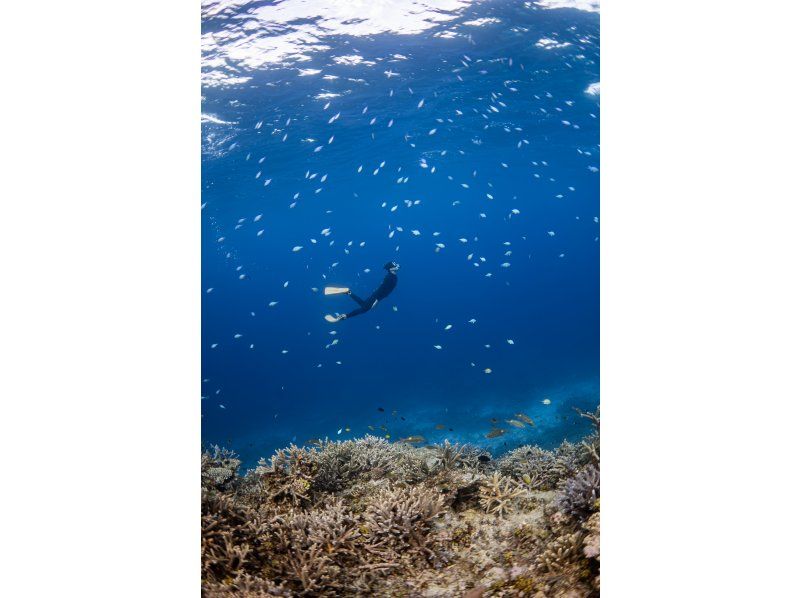 [โอกินาวา, ​​มิยาโกจิมะ] สัมผัสประสบการณ์ดำน้ำตื้นแบบแท้จริงที่หาดยาเอบิจิ! กลุ่มเล็ก วิดีโอฟรี มีตัวเลือกกล้องระดับมืออาชีพの紹介画像