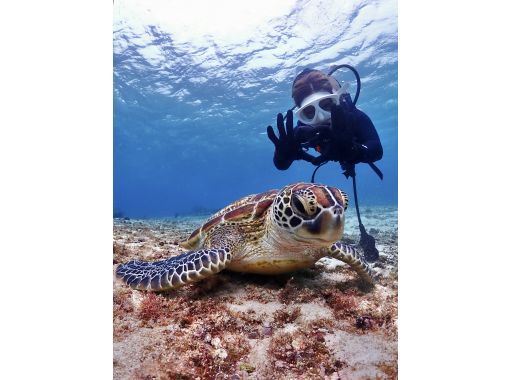 【沖縄・宮古島・ダイビング】【VIP】【温水シャワー付き!】初めての方大歓迎!完全貸切ビーチ体験ダイビング(水中写真付き) 【沖縄・宮古島・ダイビング】【VIP】【温水シャワー付き!】初めての方大歓迎!完全貸切ビーチ体験ダイビング(水中写真付き)