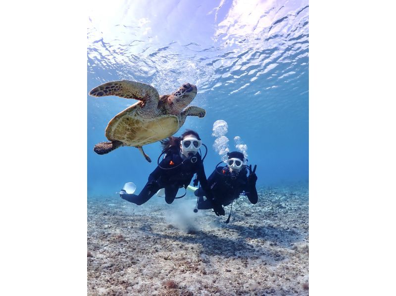 【沖縄・宮古島・ダイビング】【VIP】【温水シャワー付き！】初めての方大歓迎！完全貸切ビーチ体験ダイビング（水中写真付き）の紹介画像
