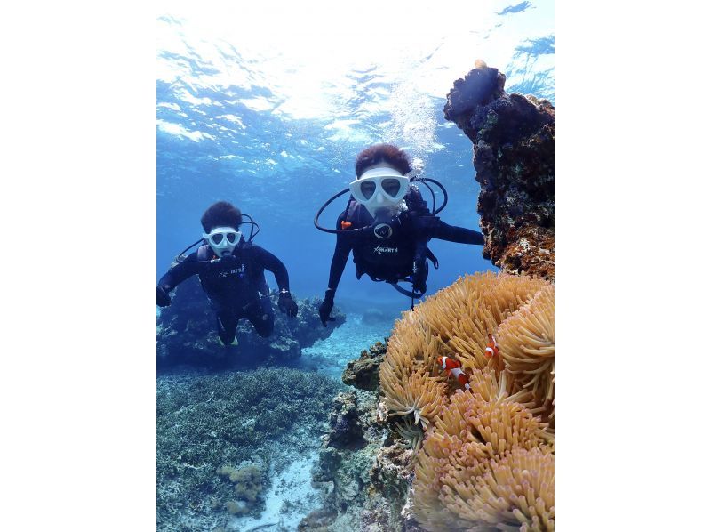 【沖縄・宮古島・ダイビング】【VIP】【温水シャワー付き！】初めての方大歓迎！完全貸切ビーチ体験ダイビング（水中写真付き）の紹介画像