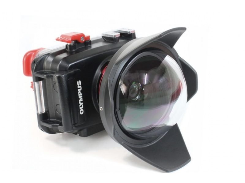 【沖縄・宮古島・ダイビング】【VIP】【温水シャワー付き！】初めての方大歓迎！完全貸切ビーチ体験ダイビング（水中写真付き）の紹介画像