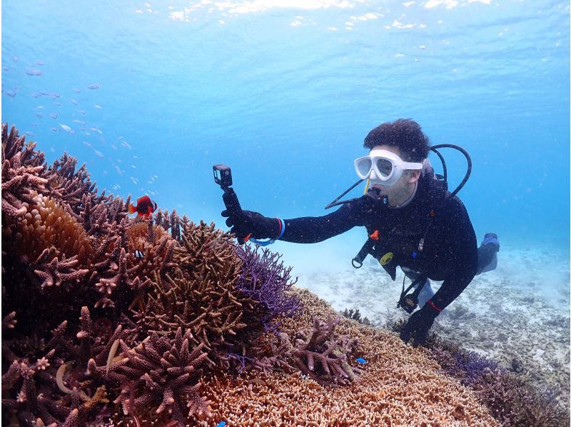 【沖縄・宮古島・ダイビング】【VIP】【温水シャワー付き！】初めての方大歓迎！完全貸切ビーチ体験ダイビング（水中写真付き）の紹介画像