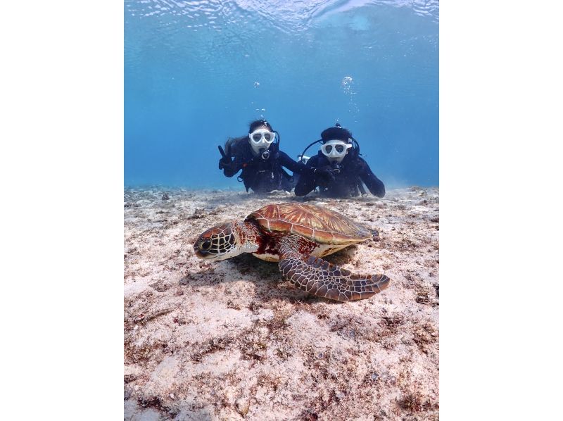 【沖縄・宮古島・ダイビング】【VIP】【温水シャワー付き！】初めての方大歓迎！完全貸切ビーチ体験ダイビング（水中写真付き）の紹介画像