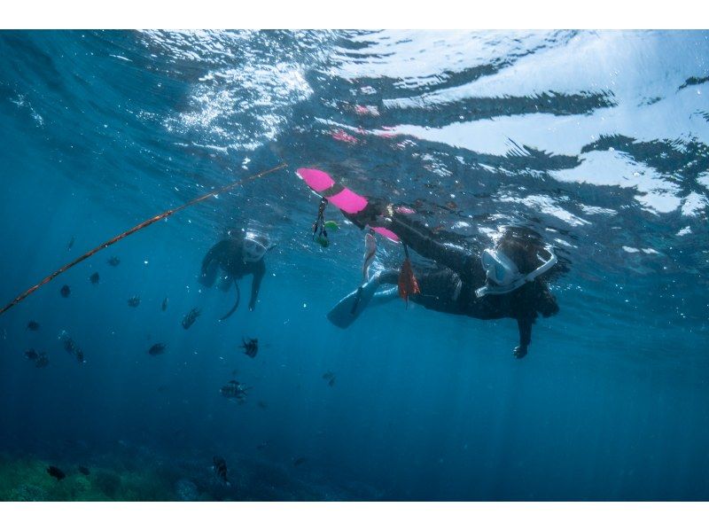1名参加OK【沖縄・北谷】北谷シュノーケリング！珊瑚に魚・動画写真プレゼント！の紹介画像