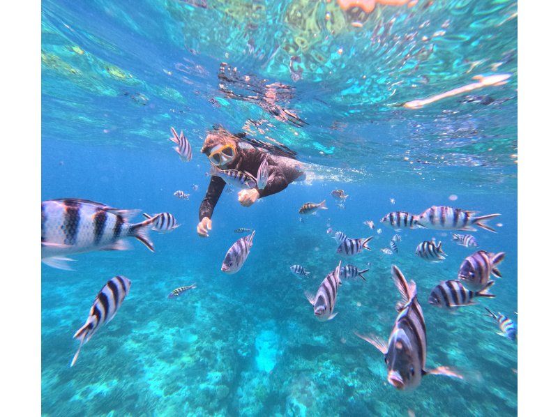 1名参加OK【沖縄・北谷】北谷シュノーケリング！珊瑚に魚・動画写真プレゼント！の紹介画像