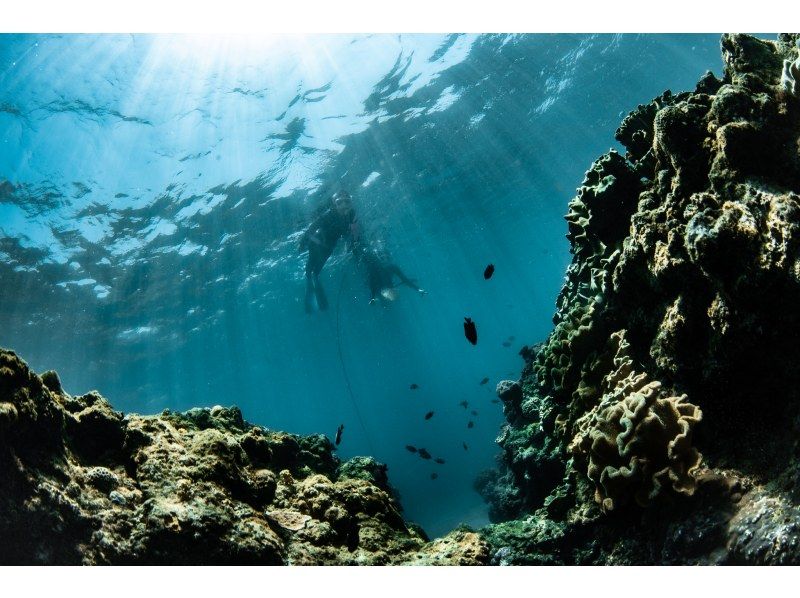 選べる時間に専属ガイド！【北谷・アメリカンビレッジ】ボートシュノーケリング！珊瑚に魚・動画写真プレゼント！カップル・女性グループ・家族