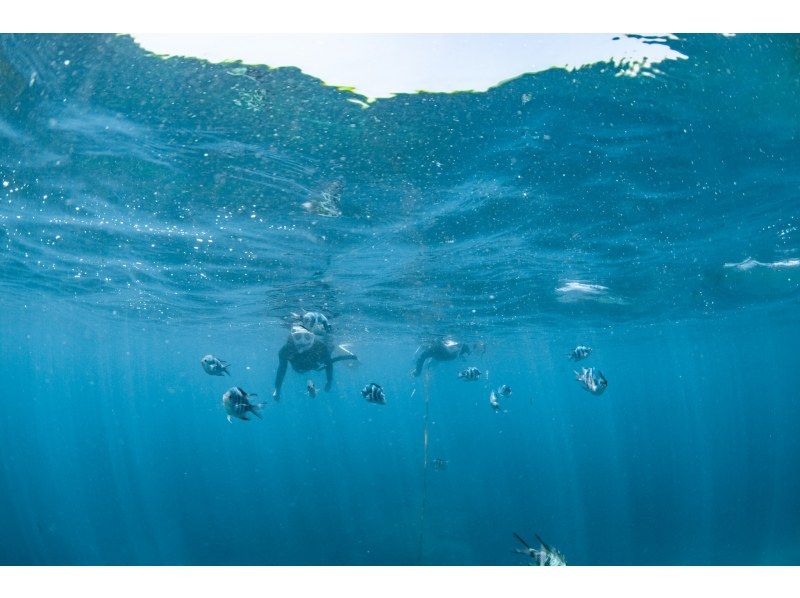 選べる時間に専属ガイド！【北谷・アメリカンビレッジ】ボートシュノーケリング！珊瑚に魚・動画写真プレゼント！カップル・女性グループ・家族