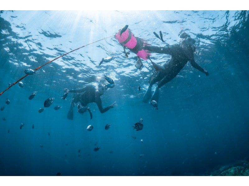 選べる時間に専属ガイド！【北谷・アメリカンビレッジ】ボートシュノーケリング！珊瑚に魚・動画写真プレゼント！カップル・女性グループ・家族