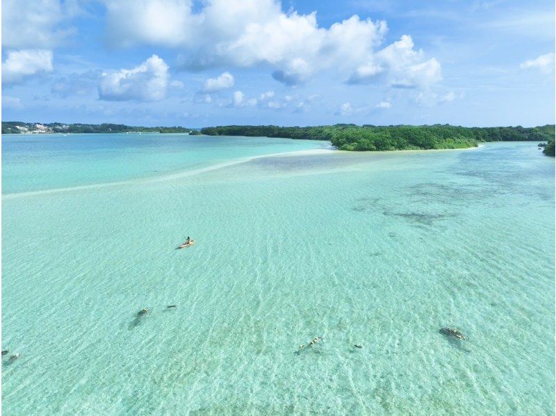 【石垣島/私人SUP出租】探索隱密海灘和叢林！含無人機拍攝。當天接受預約！兒童安全！の紹介画像