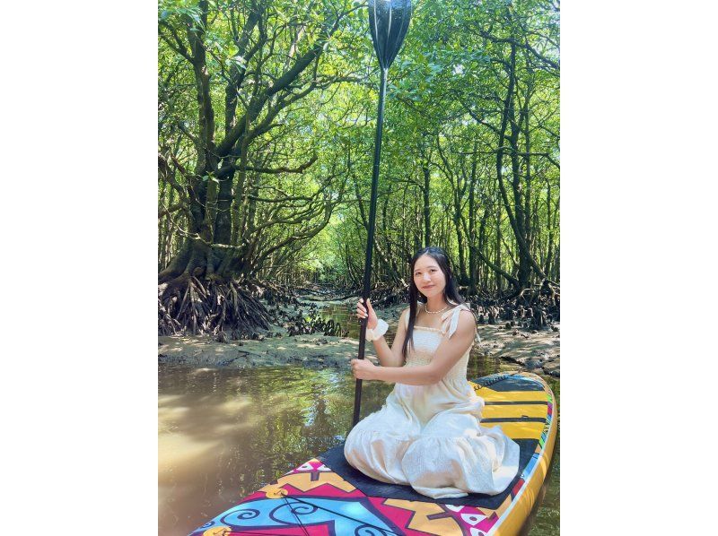 [Ishigaki/SUP] Movie-quality drone photography! ? Hidden beach or subtropical mangrove! Free pick-up and drop-off! "Guided by a photographer with 7 years of experience on the island" ★Cheapest in the industry★の紹介画像