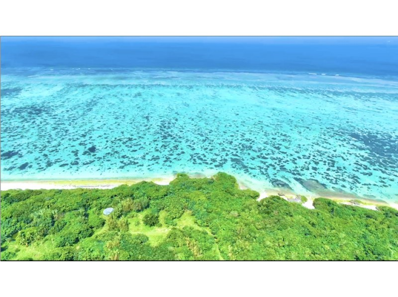 [Ishigaki/SUP] Movie-quality drone photography! ? Hidden beach or subtropical mangrove! Free pick-up and drop-off! "Guided by a photographer with 7 years of experience on the island" ★Cheapest in the industry★の紹介画像