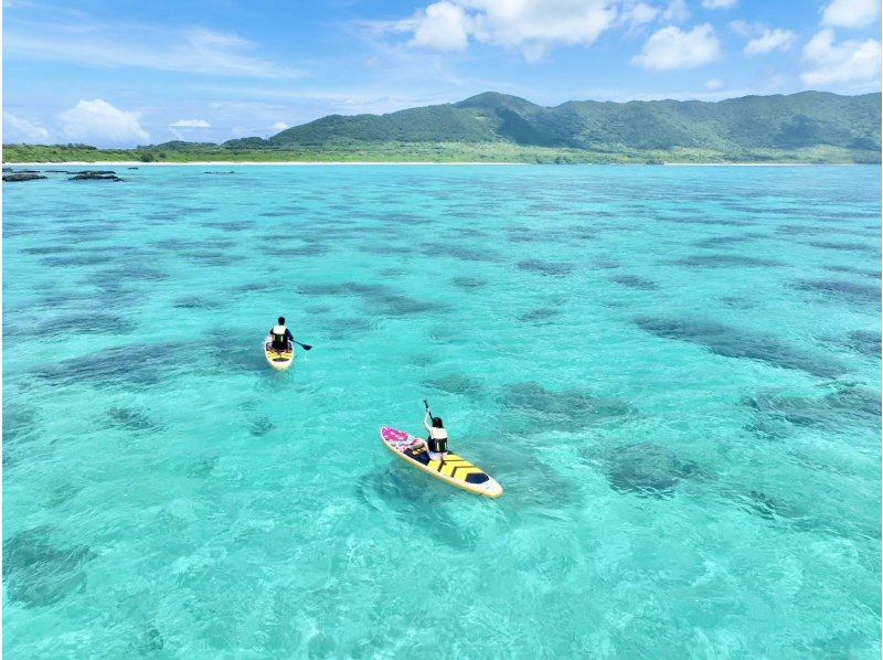 【石垣島/私人SUP出租】探索隱密海灘和叢林！含無人機拍攝。當天接受預約！兒童安全！の紹介画像