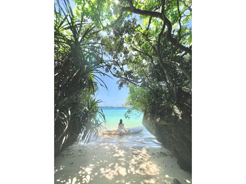 [บริการเช่าส่วนตัวสำหรับ 1 กลุ่ม/Ishigaki SUP] ถ่ายทำด้วยโดรนคุณภาพระดับภาพยนตร์! - ชายหาดอันเงียบสงบ หรือ ป่าชายเลนกึ่งเขตร้อน! "นำเที่ยวโดยช่างภาพที่มีประสบการณ์บนเกาะกว่า 7 ปี" ★ราคาถูกที่สุดในวงการ★รับส่งฟรี!の紹介画像