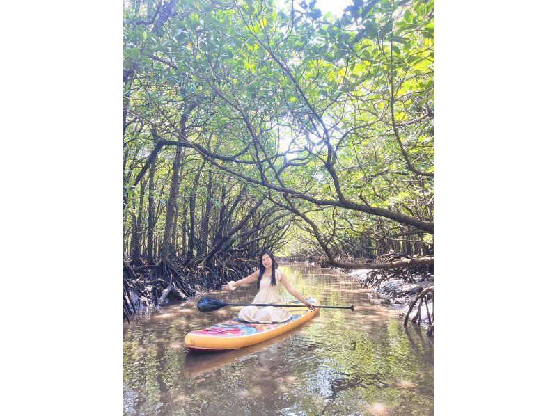 [Ishigaki/SUP] Movie-quality drone photography! ? Hidden beach or subtropical mangrove! Free pick-up and drop-off! "Guided by a photographer with 7 years of experience on the island" ★Cheapest in the industry★の紹介画像