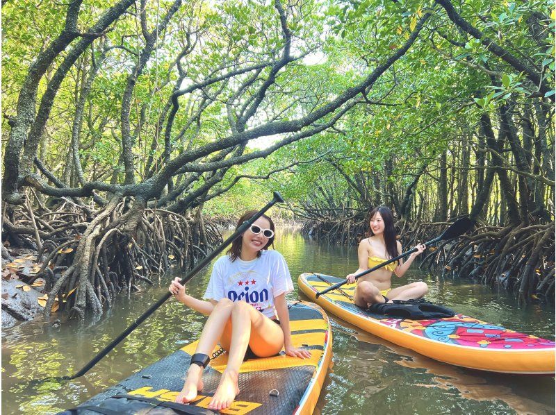 [Ishigaki/SUP] Movie-quality drone photography! ? Hidden beach or subtropical mangrove! Free pick-up and drop-off! "Guided by a photographer with 7 years of experience on the island" ★Cheapest in the industry★の紹介画像