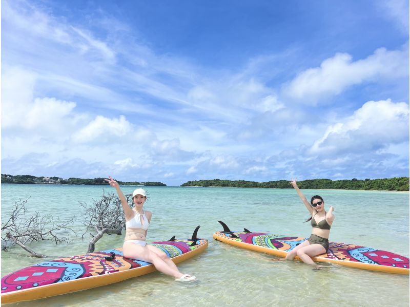 [บริการเช่าส่วนตัวสำหรับ 1 กลุ่ม/Ishigaki SUP] ถ่ายทำด้วยโดรนคุณภาพระดับภาพยนตร์! - ชายหาดอันเงียบสงบ หรือ ป่าชายเลนกึ่งเขตร้อน! "นำเที่ยวโดยช่างภาพที่มีประสบการณ์บนเกาะกว่า 7 ปี" ★ราคาถูกที่สุดในวงการ★รับส่งฟรี!の紹介画像