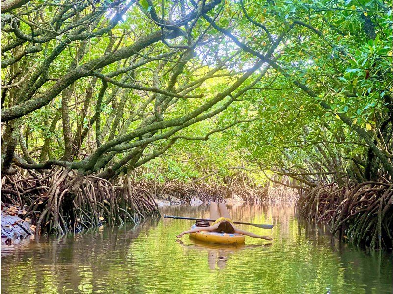 [Ishigaki/SUP] Movie-quality drone photography! ? Hidden beach or subtropical mangrove! Free pick-up and drop-off! "Guided by a photographer with 7 years of experience on the island" ★Cheapest in the industry★の紹介画像