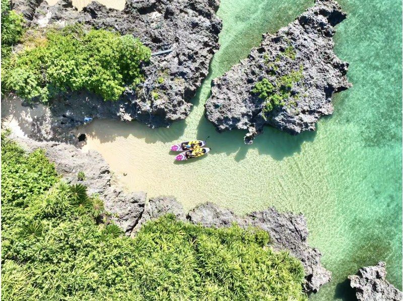 【石垣島/貸切SUP】秘境ビーチ＆ジャングル探検！ドローン撮影付き・当日予約OK！家族に人気！の紹介画像
