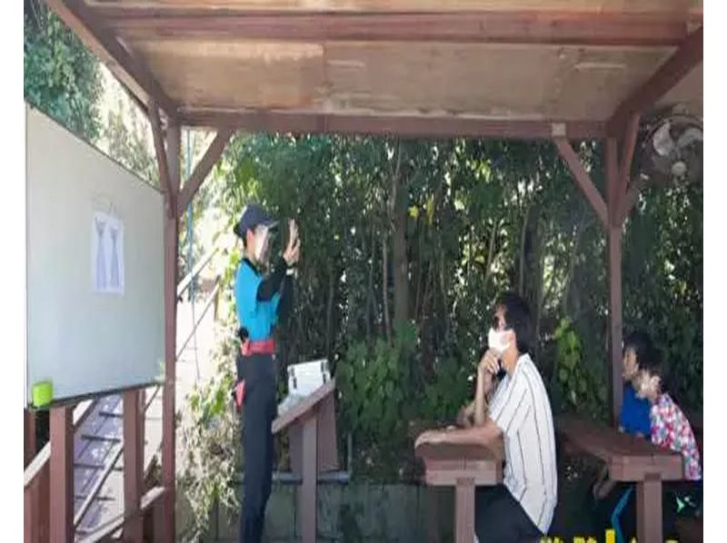 [เฮียวโกะ มินามิอาวาจิ] ยินดีต้อนรับเด็กเล็ก! หลักสูตรเบื้องต้นที่คุณจะได้ใกล้ชิดกับโลมาและแม้แต่จับมือกับสัตว์ต่างๆ โดยที่ไม่ต้องลงน้ำの紹介画像