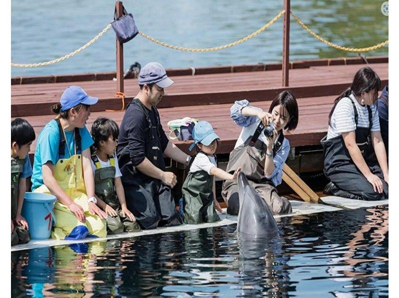 [เฮียวโกะ มินามิอาวาจิ] ยินดีต้อนรับเด็กเล็ก! หลักสูตรเบื้องต้นที่คุณจะได้ใกล้ชิดกับโลมาและแม้แต่จับมือกับสัตว์ต่างๆ โดยที่ไม่ต้องลงน้ำの紹介画像