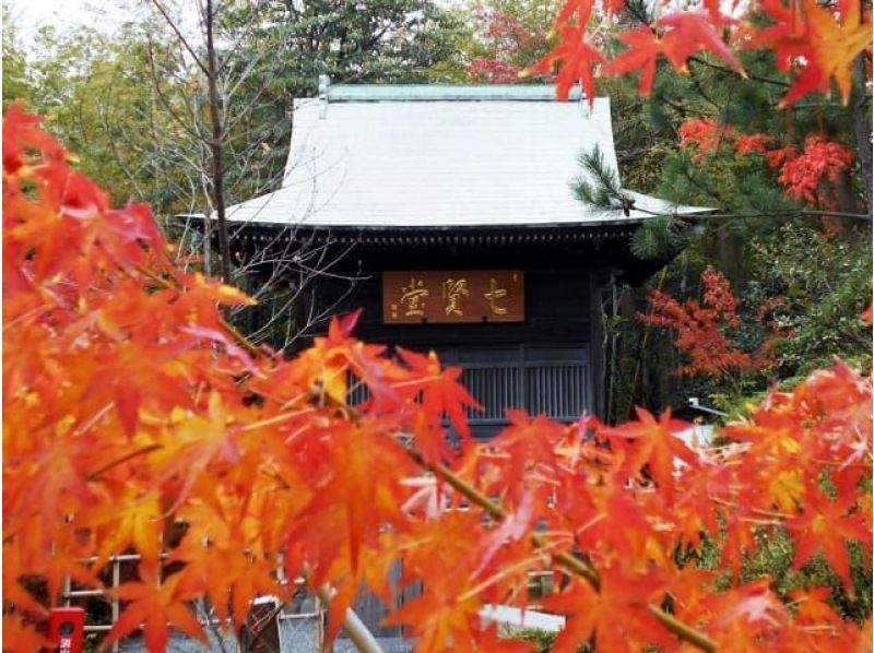 吉田茂・陸奥宗光・大隈重信の別邸見学＆燃えるような大紅葉の絶景・最乗寺巡りバスツアー ～和食御膳のご昼食付～【029029－1514】の紹介画像