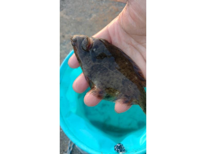 [Around Ishikari] Fishing experience near Sapporo (for beginners)の紹介画像