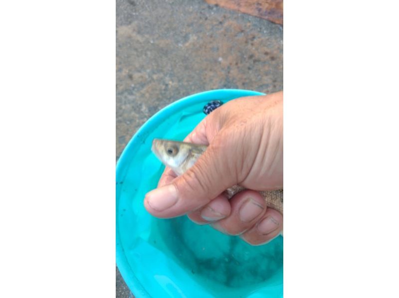 [Around Ishikari] Fishing experience near Sapporo (for beginners)の紹介画像