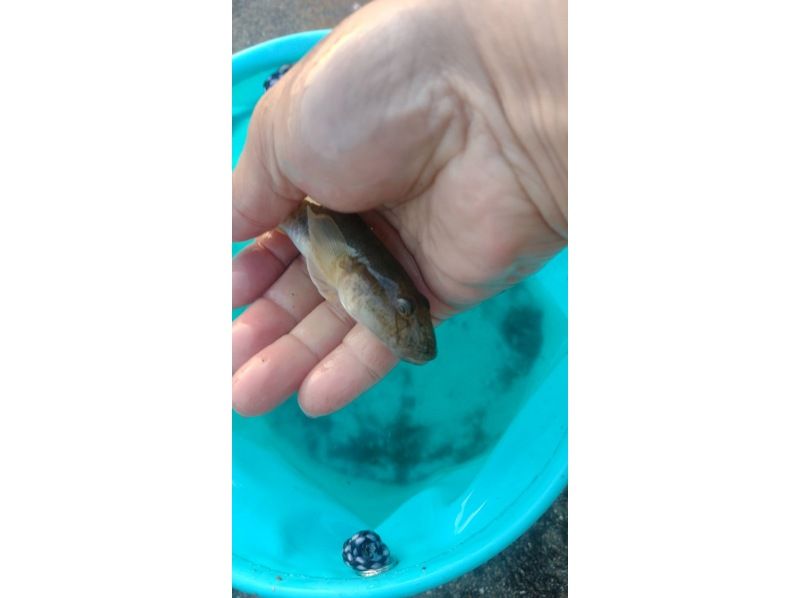 [Around Ishikari] Fishing experience near Sapporo (for beginners)の紹介画像