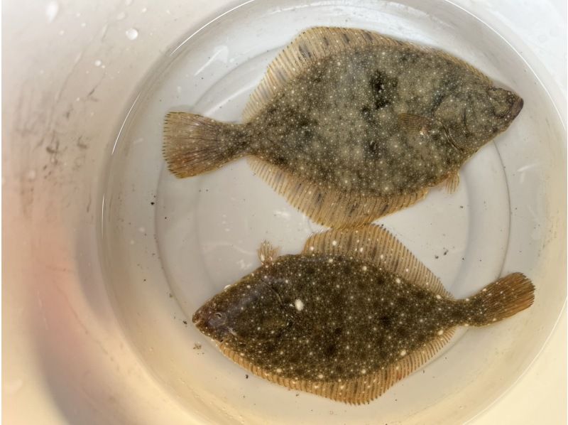 【石漾/熱田】在石漾灣悠閒釣魚、捕捉海鮮的一天（接送計畫）の紹介画像